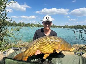 Common Carp
