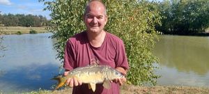 Mirror Carp