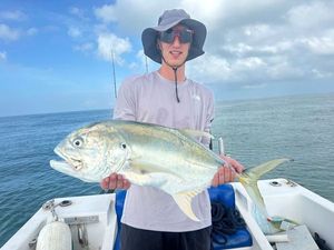 Crevalle Jack