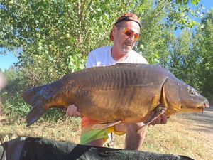 Mirror Carp