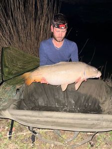 Mirror Carp