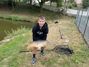 Mirror Carp