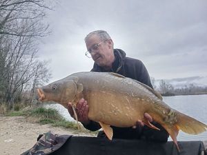Mirror Carp
