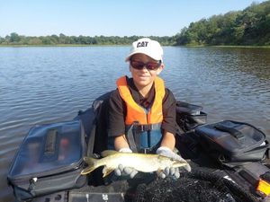 Northern Pike