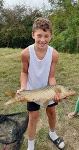 Common Carp