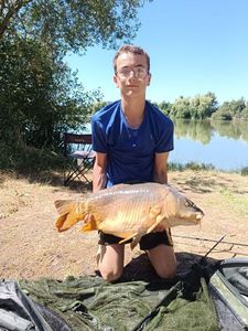 Mirror Carp