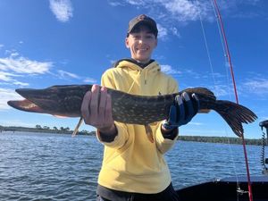 Northern Pike