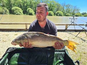 Mirror Carp