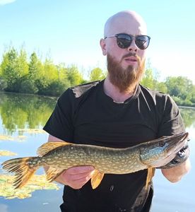 Northern Pike