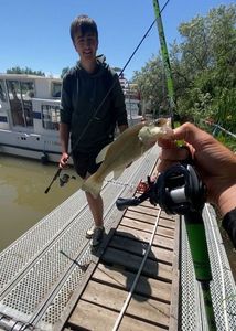 Largemouth Bass