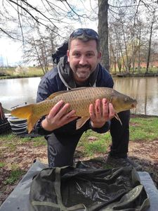 Common Carp