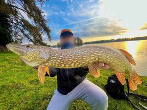Northern Pike