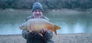 Mirror Carp