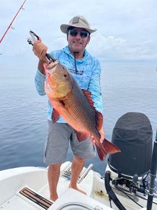 African Red Snapper