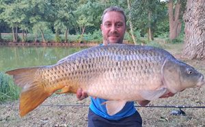 Common Carp