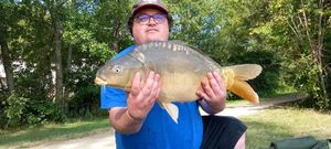 Mirror Carp