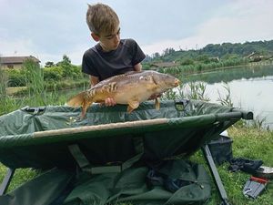Mirror Carp