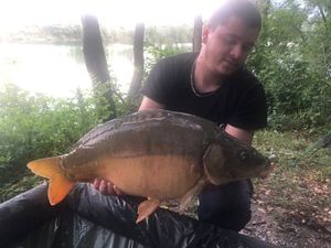 Mirror Carp