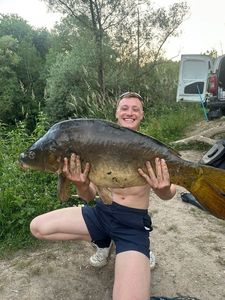 Mirror Carp
