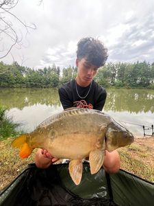 Mirror Carp