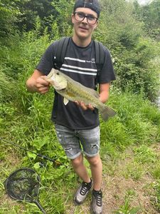 Smallmouth Bass