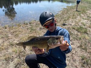 Smallmouth Bass