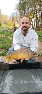 Mirror Carp