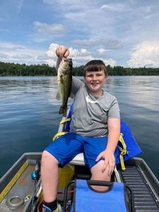 Largemouth Bass
