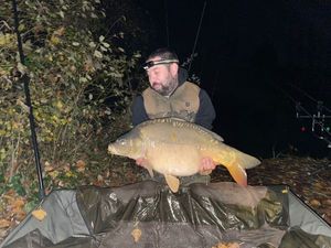 Mirror Carp