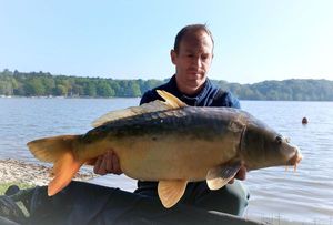 Mirror Carp