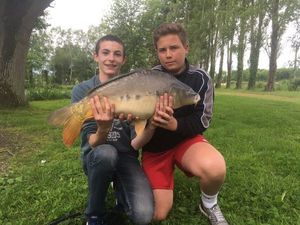 Mirror Carp