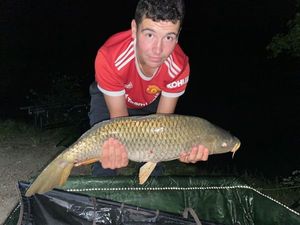 Common Carp