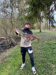 Northern Pike