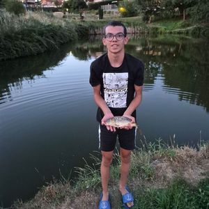 Mirror Carp