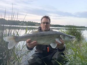 Zander
