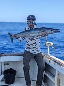 Wahoo