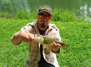 Largemouth Bass