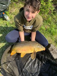 Mirror Carp