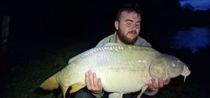 Mirror Carp