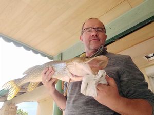 Northern Pike