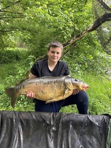 Mirror Carp