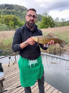 Tench