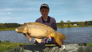 Mirror Carp