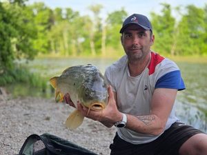 Common Carp