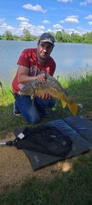 Mirror Carp