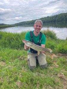 Northern Pike