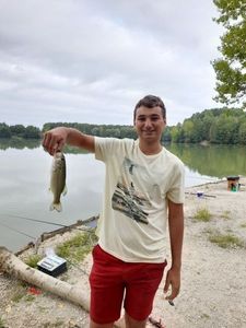 Largemouth Bass