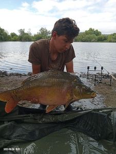 Mirror Carp