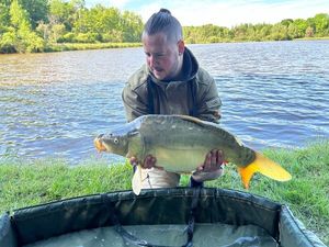 Mirror Carp