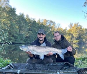 Grass Carp